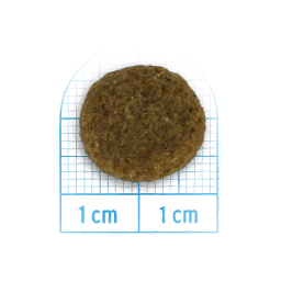 FORZA10 Maintenance Adult Medium Lamb/Rice (Agnello/Riso) 24/12 повседневный для взрослых собак Средних пород ЯГНЕНОК / РИС (12 кг)